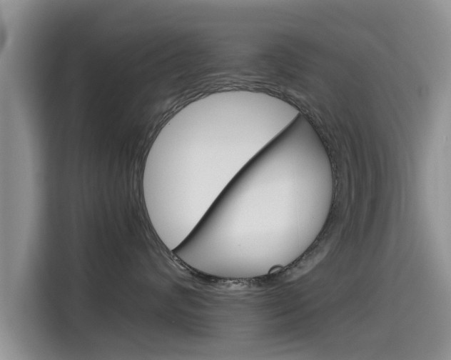 X0000115700624200911120944
