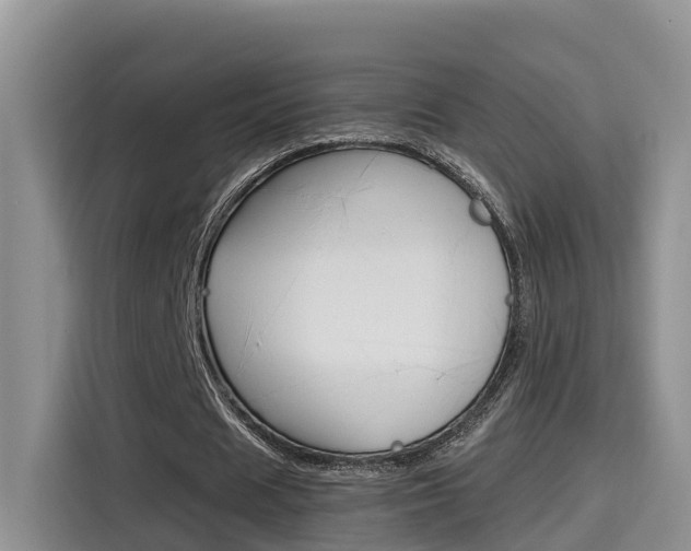 X0000115700625200911120944