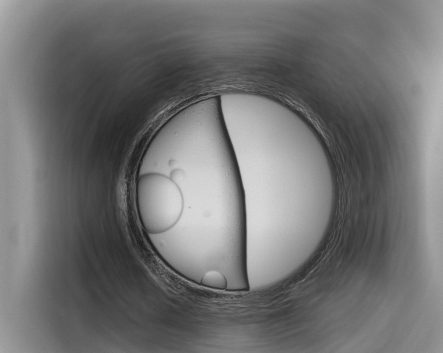 X0000115700626200911120944