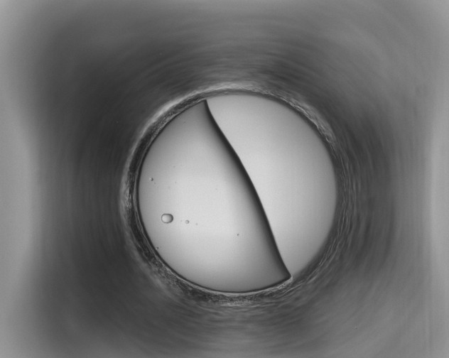 X0000115700628200911120944