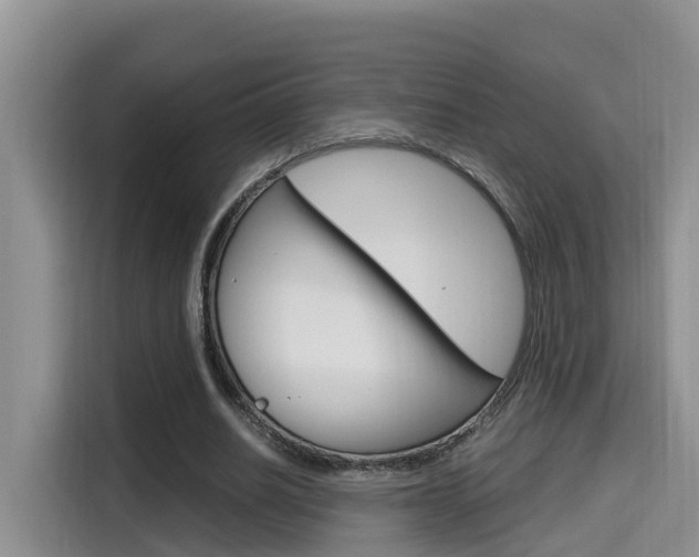 X0000115700630200911120944