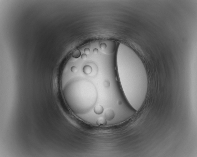 X0000115700638200911120944