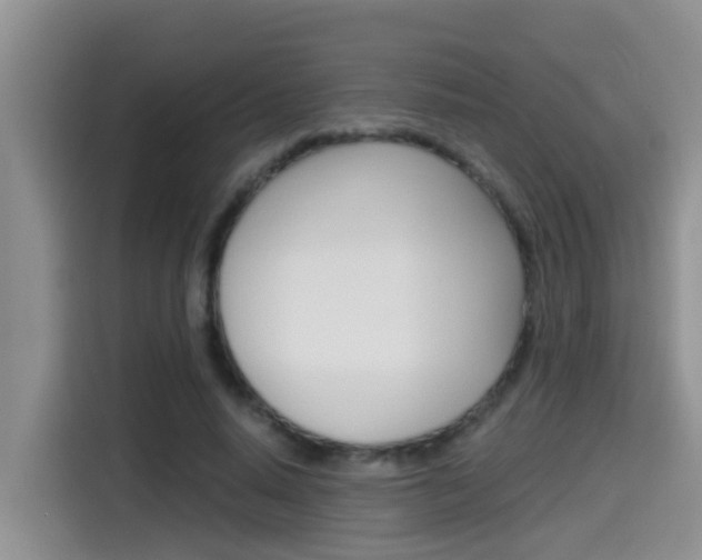 X0000115700640200911120944