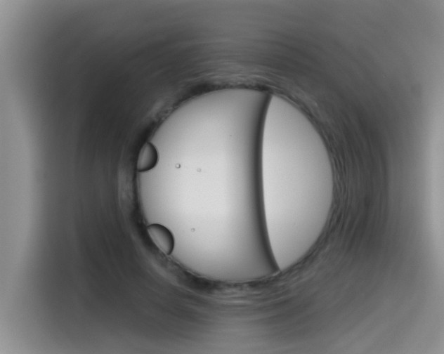 X0000115700642200911120944