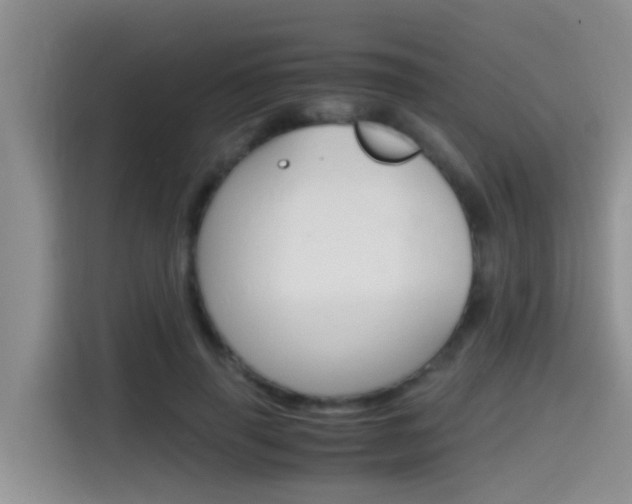 X0000115700645200911120944