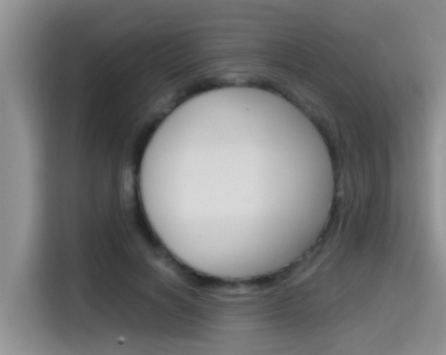 X0000115700646200911120944