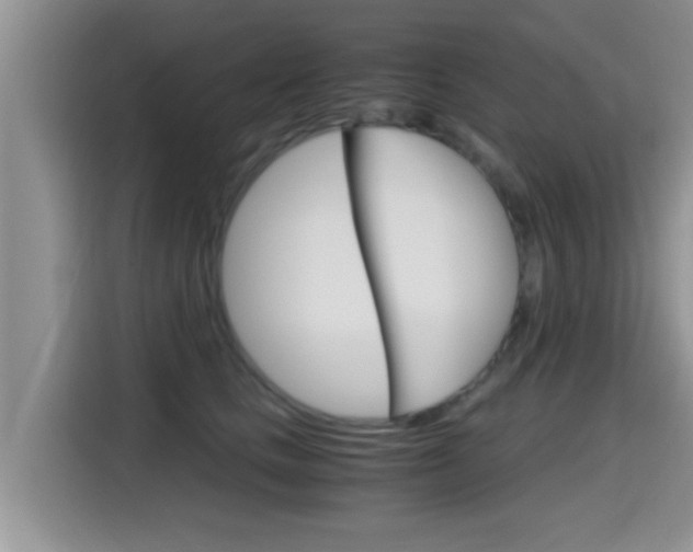 X0000115700661200911120944