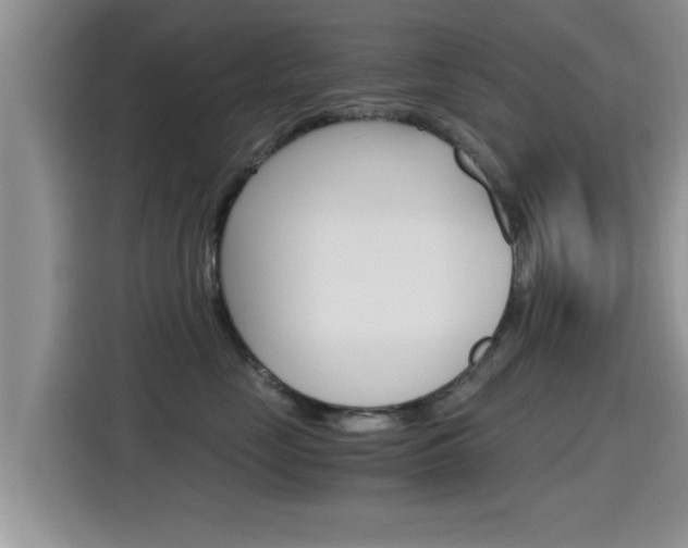 X0000115700669200911120944