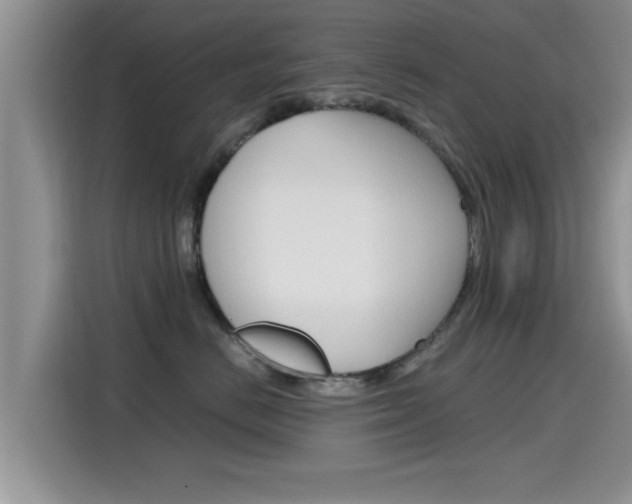 X0000115700670200911120944