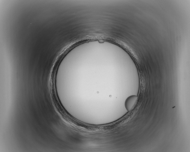 X0000115700674200911120944