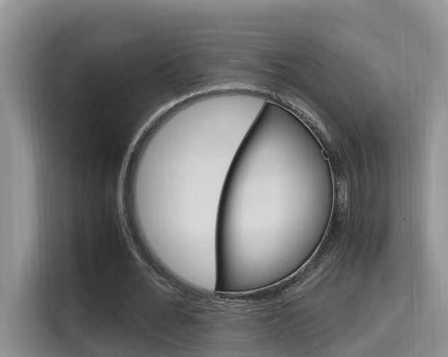 X0000115700676200911120943