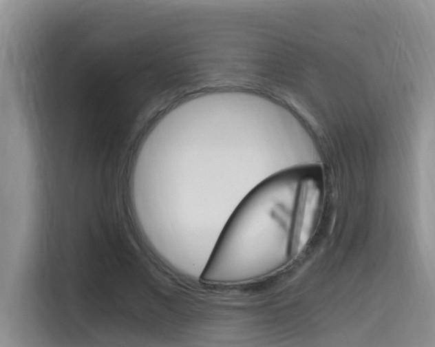 X0000115700685200911120943