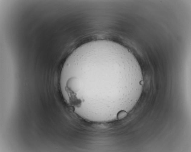 X0000115700698200911120943