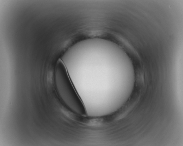 X0000115700700200911120943