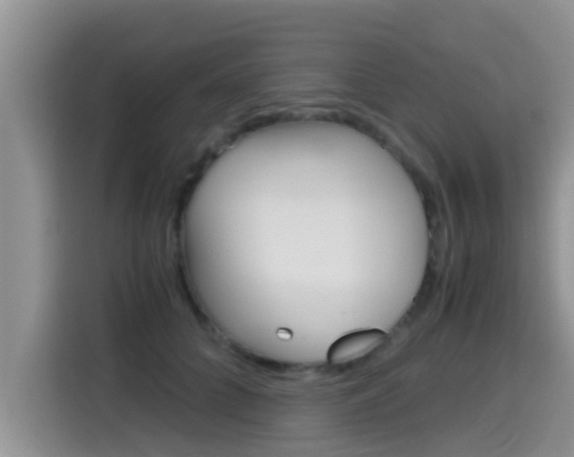 X0000115700704200911120943