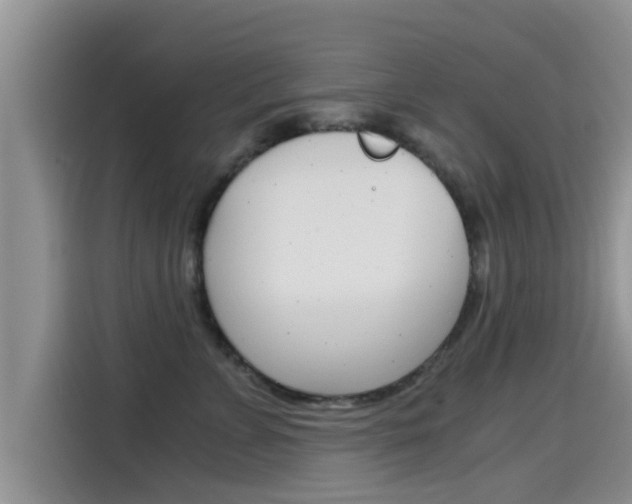 X0000115700715200911120943
