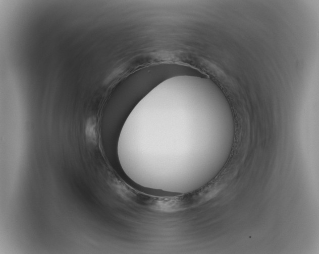 X0000115700720200911120943