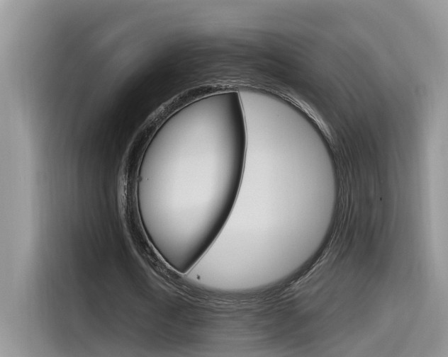 X0000115700722200911120942