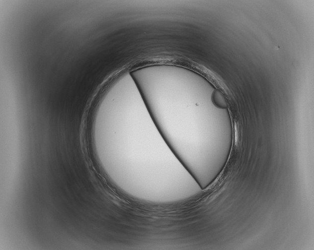 X0000115700723200911120942