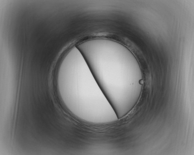 X0000115700731200911120942