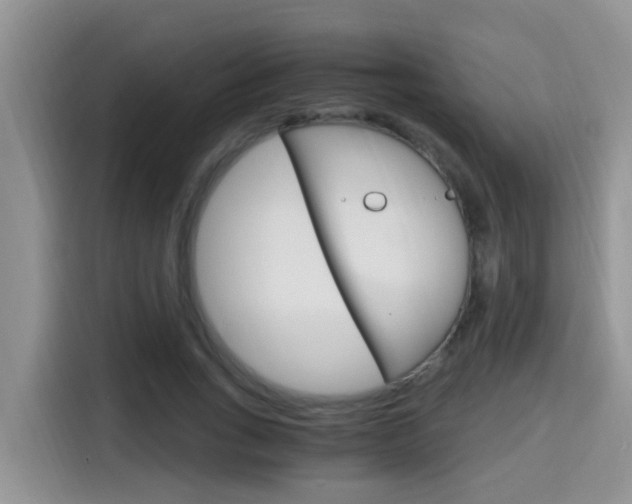 X0000115700735200911120942