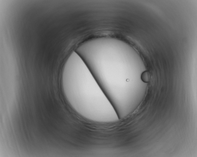 X0000115700739200911120943