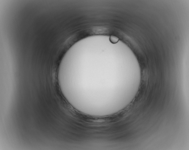 X0000115700741200911120943