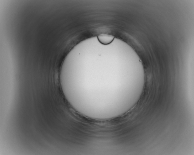 X0000115700745200911120943