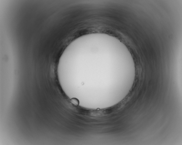 X0000115700757200911120943