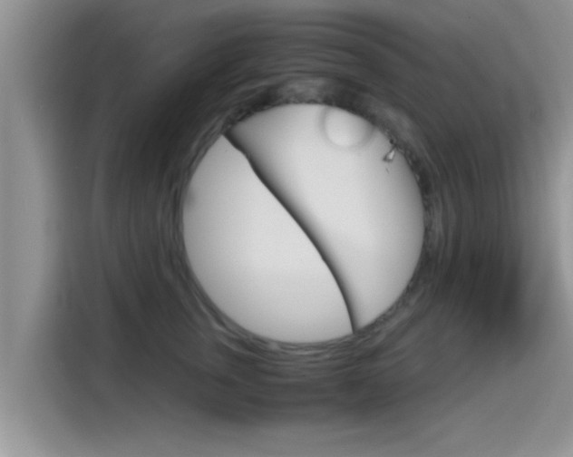 X0000115700759200911120943