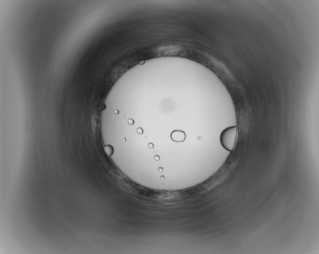 X0000115700761200911120943