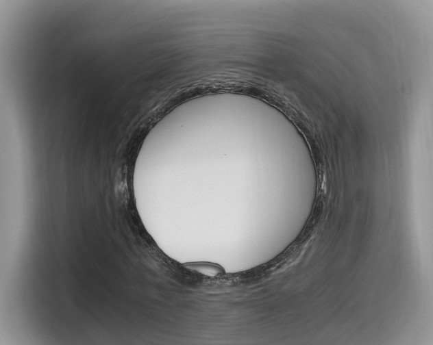 X0000115700771200911120942
