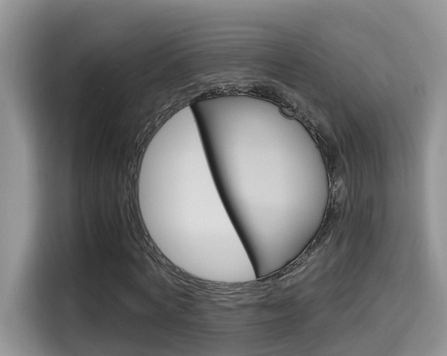 X0000115700772200911120942