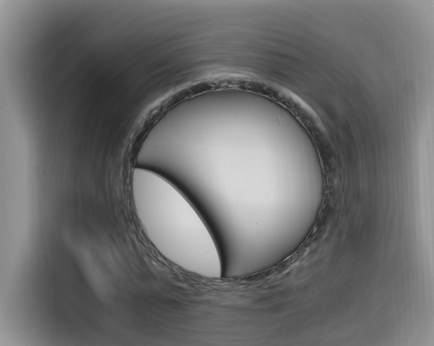 X0000115700775200911120942