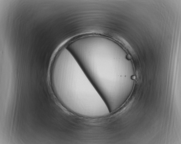X0000115700780200911120942