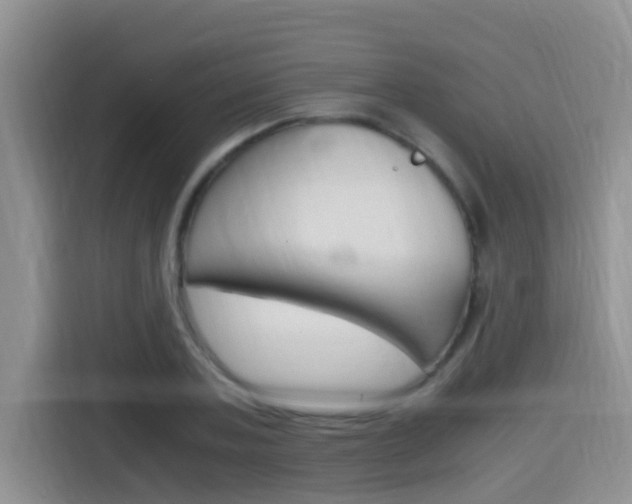 X0000115700787200911120942