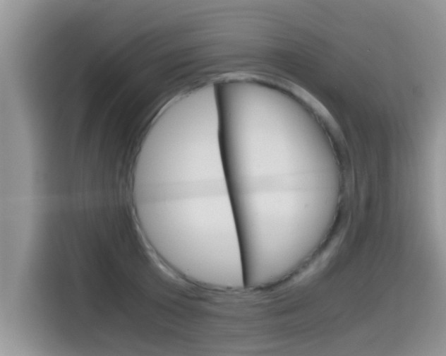 X0000115700801200911120942