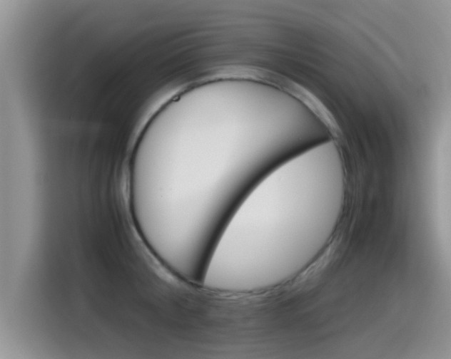 X0000115700804200911120942
