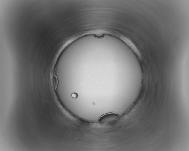 X0000115700805200911120942
