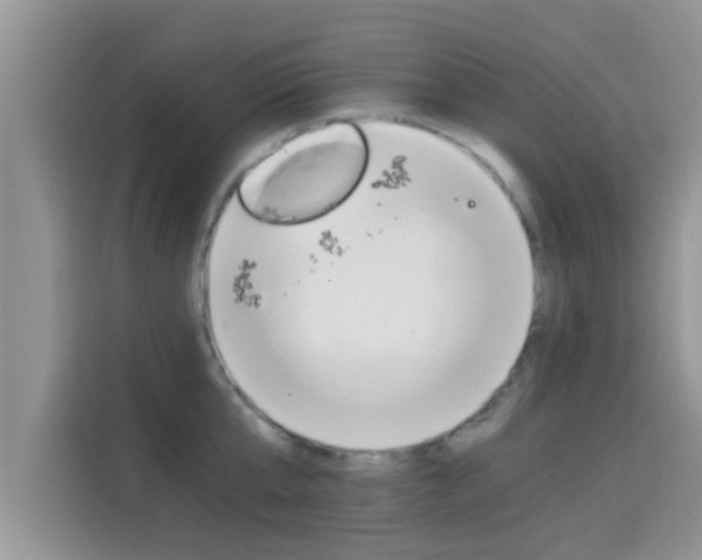 X0000115700807200911120942