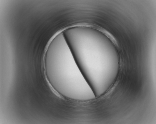 X0000115700808200911120942