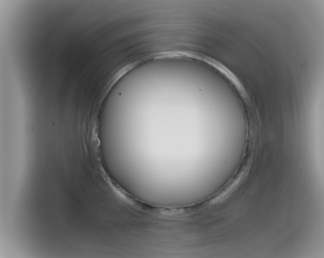 X0000115700809200911120942