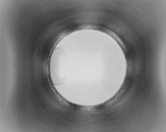 X0000115700810200911120942