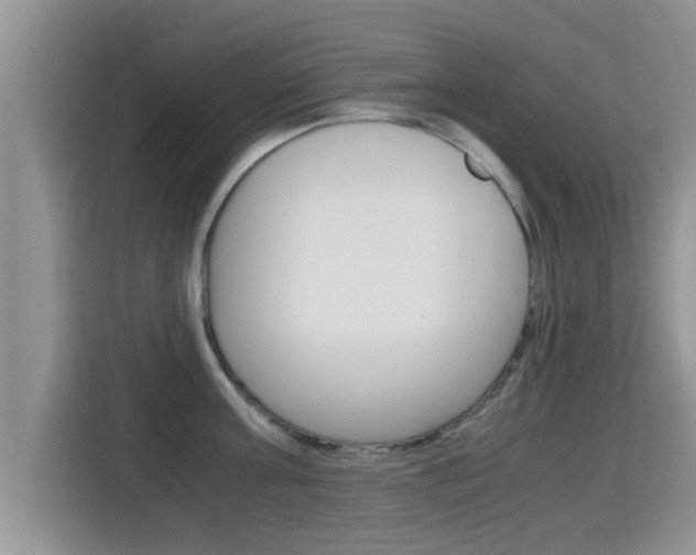 X0000115700811200911120942