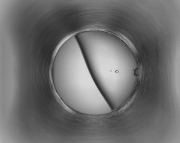 X0000115700812200911120942