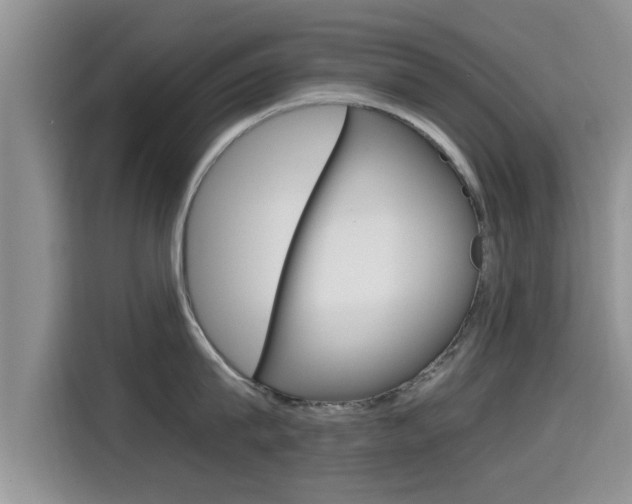 X0000115700815200911120942