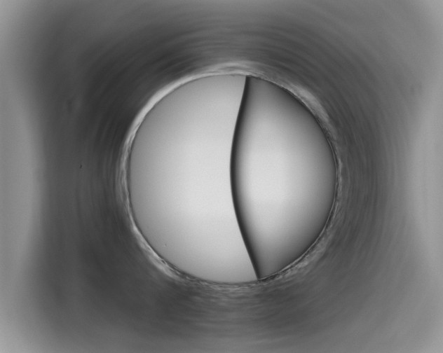 X0000115700816200911120942
