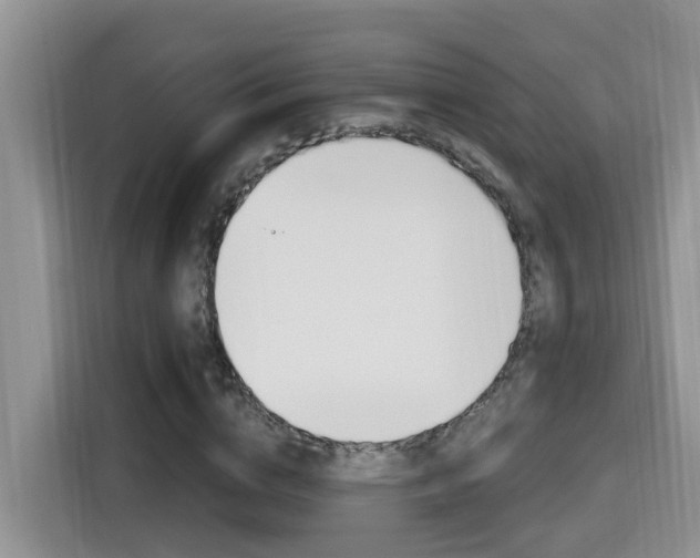 X0000115700824200911120941