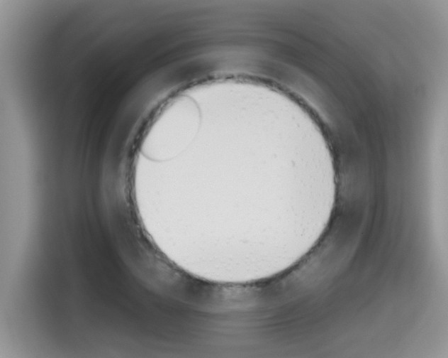 X0000115700832200911120941