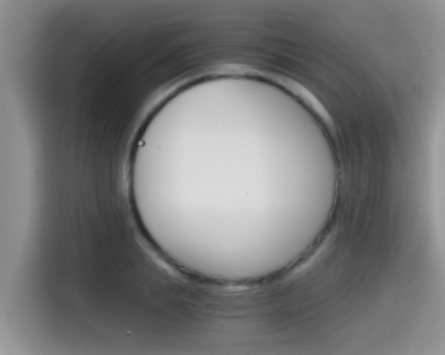 X0000115700839200911120941